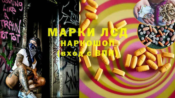 гашик Костерёво