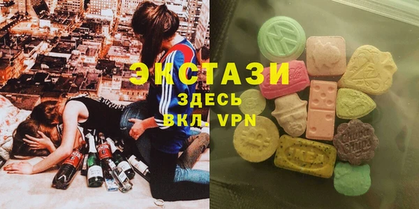 гашик Костерёво