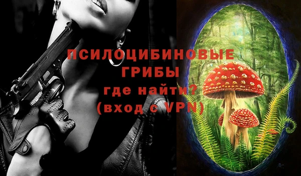 скорость Корсаков