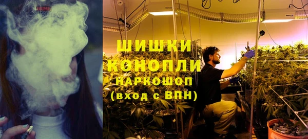 гашик Костерёво