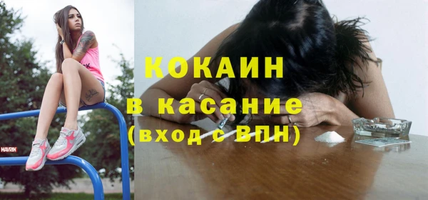 гашик Костерёво